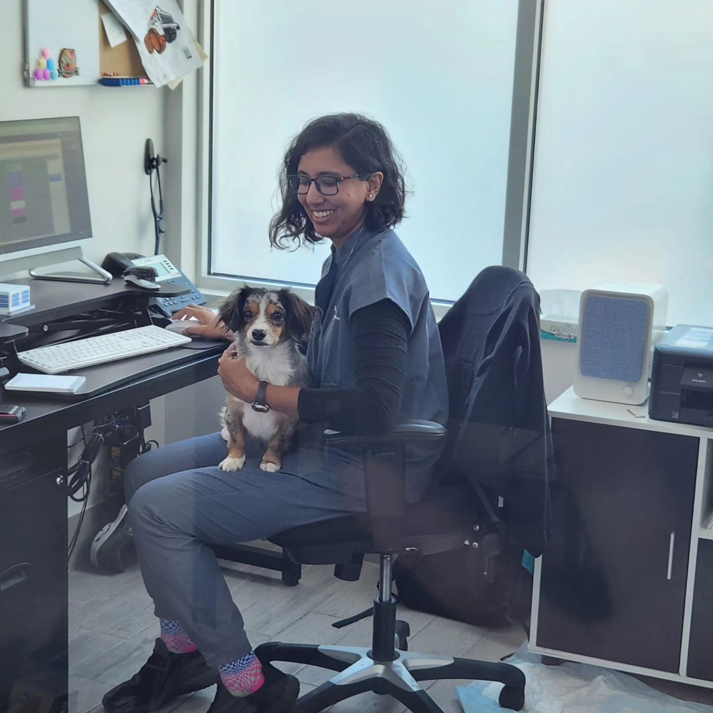 Meadowlands Veterinary Hospital